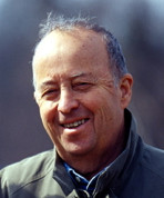 Goldstein, Arnold P-web