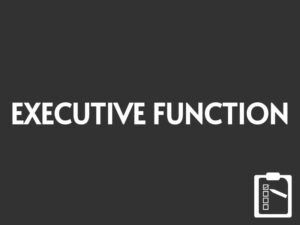 Executive Function