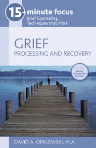 15-Minute Focus-Grief book cover