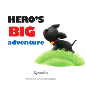 Hero's Big Adventure book cover