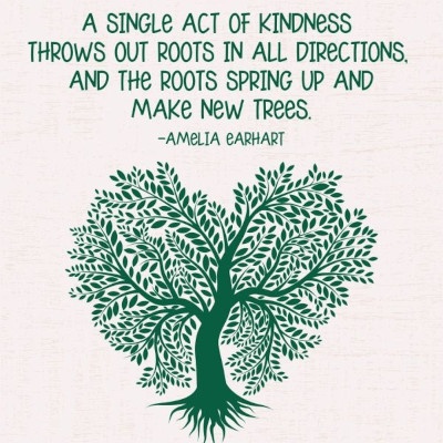 Kindness quote